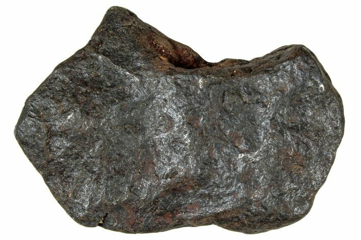 Canyon Diablo Iron Meteorite ( g) - Arizona #303496